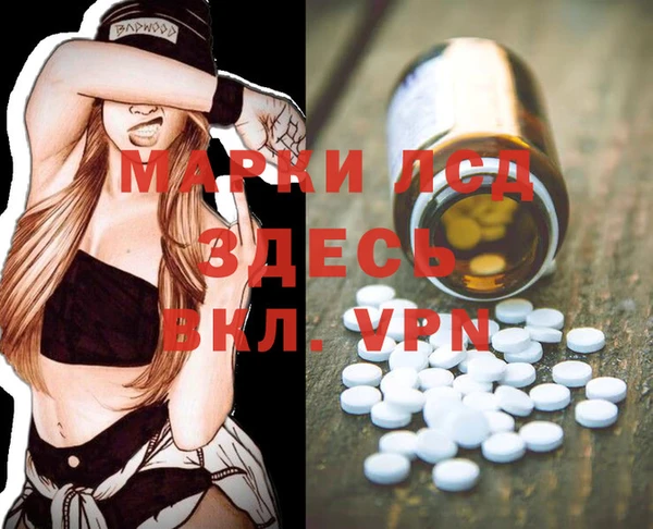 ПСИЛОЦИБИНОВЫЕ ГРИБЫ Аркадак