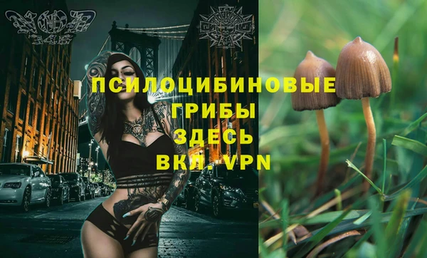 ПСИЛОЦИБИНОВЫЕ ГРИБЫ Аркадак