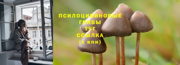 эйфоретик Арсеньев