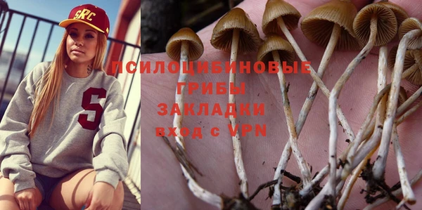 а пвп мука Армянск
