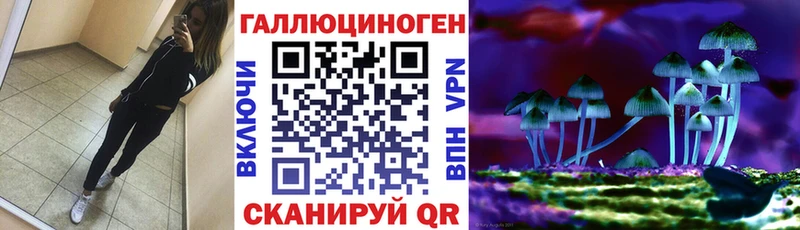 продажа наркотиков  Окуловка  Псилоцибиновые грибы Psilocybe 